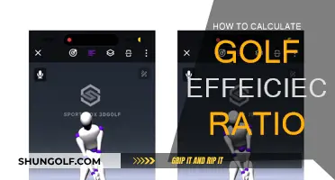 Golf Efficiency Ratio: Calculating Your Success
