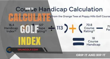 Golf Index Calculation: Understanding Your Handicap