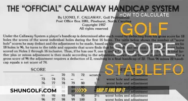 Understanding Stableford Scoring in Golf
