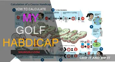 Understanding Golf Handicap Calculations: A Beginner's Guide