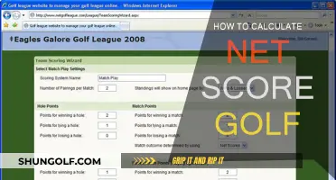 Golf Net Score Calculation: A Beginner's Guide
