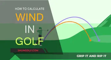 Wind Calculation Strategies for Golfers