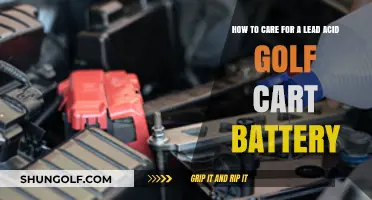 Essential Tips for Maintaining Your Lead Acid Golf Cart Battery