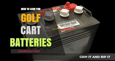 Essential Tips for Maintaining and Extending Golf Cart Battery Life