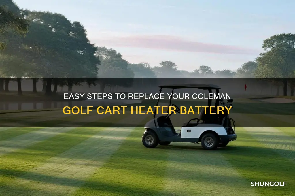 how to change battery on coleman golf cart heater