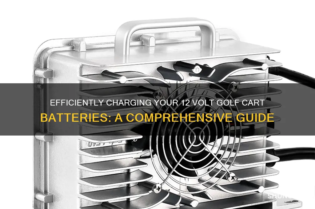 how to charge 12 volt golf cart batteries