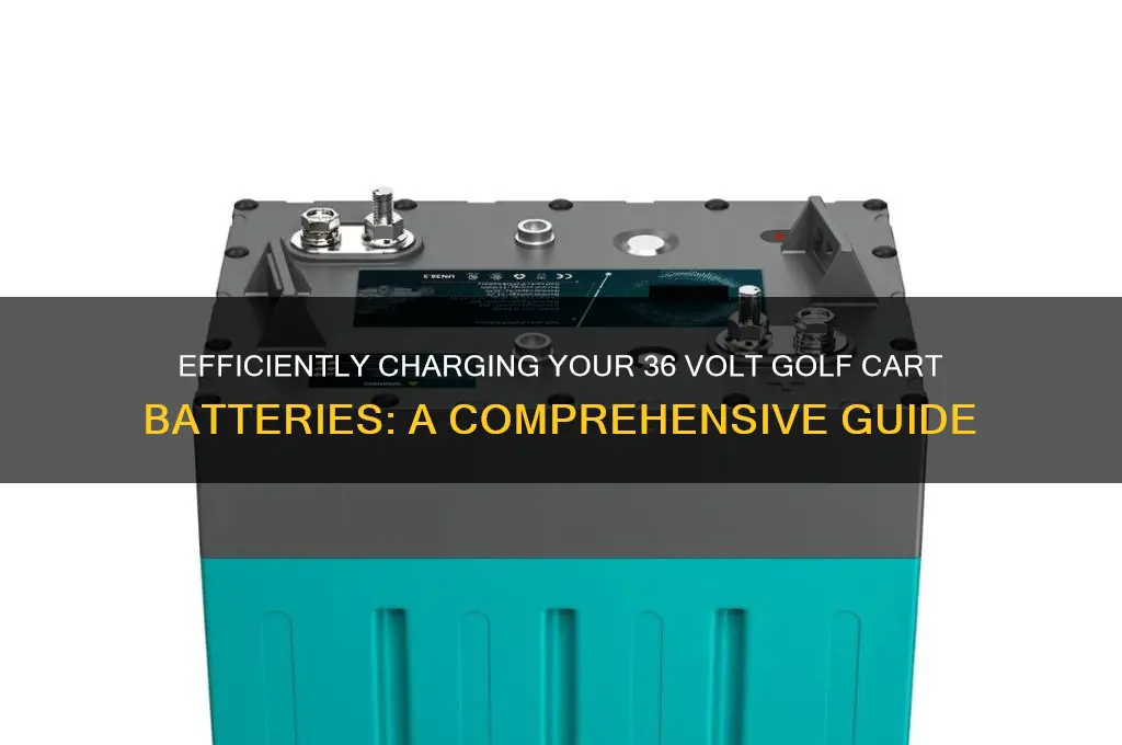 how to charge 36 volt golf cart batteries