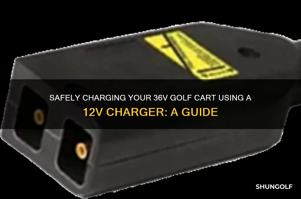how to charge 36v golf cart with 12v charger