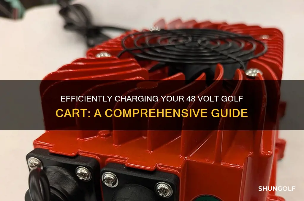 how to charge 48 volt golf cart