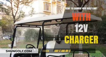 Charging Your 48V Golf Cart Using a 12V Charger: A Step-by-Step Guide