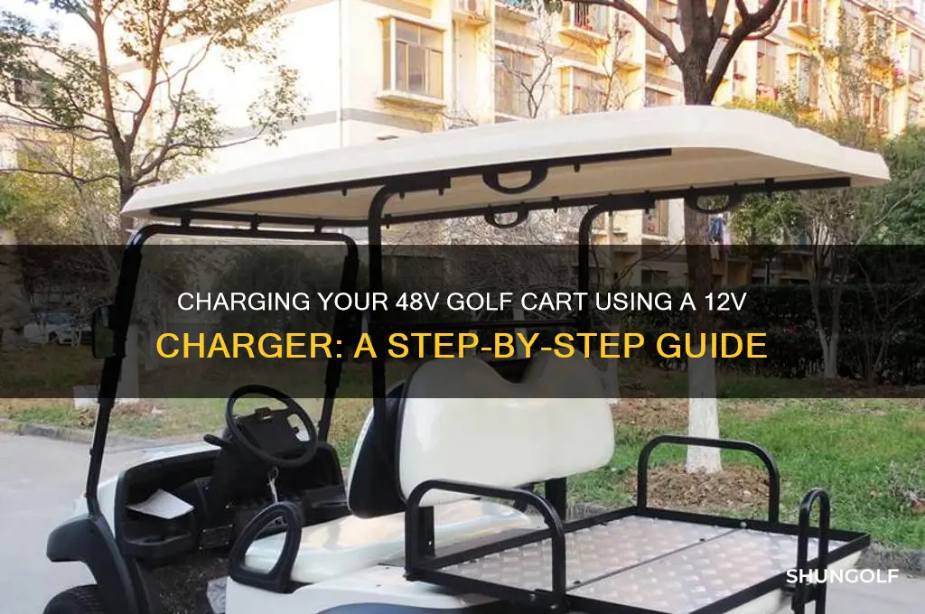 how to charge 48v golf cart with 12v charger