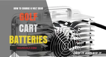 Revive Your Golf Cart: Charging Dead 6-Volt Batteries Effectively