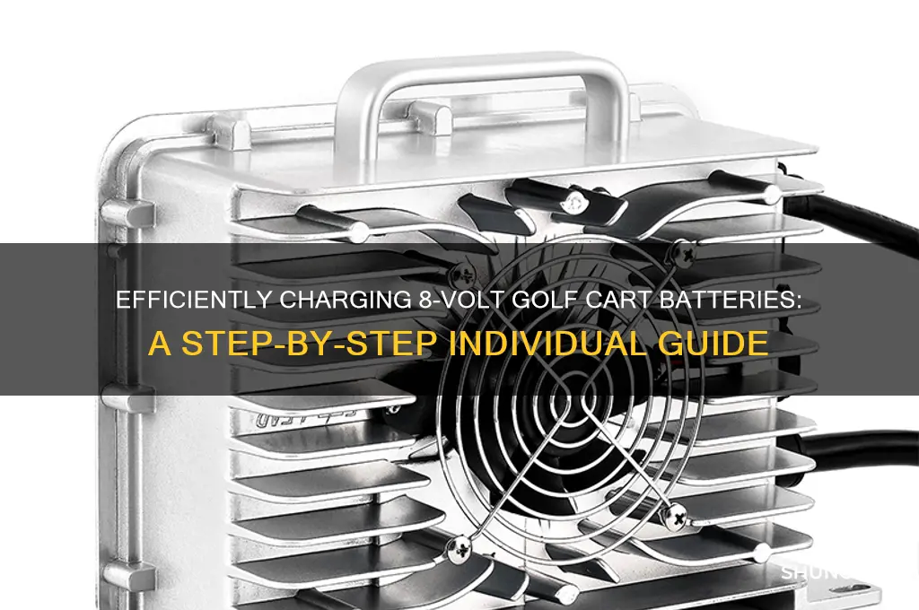 how to charge 8 volt golf cart batteries individually