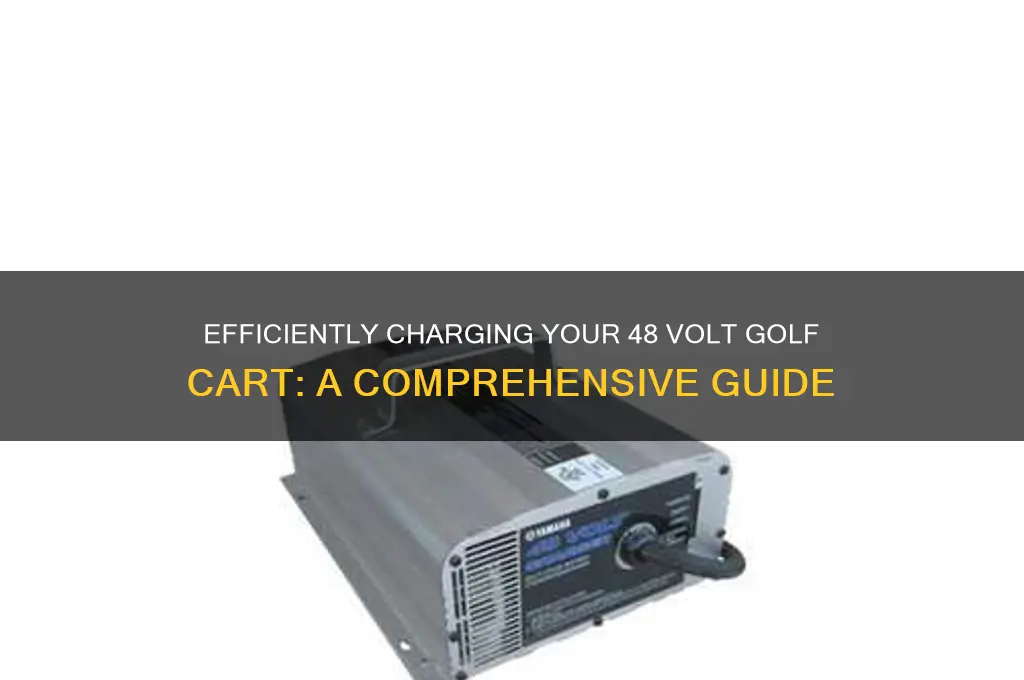 how to charge a 48 volt golf course