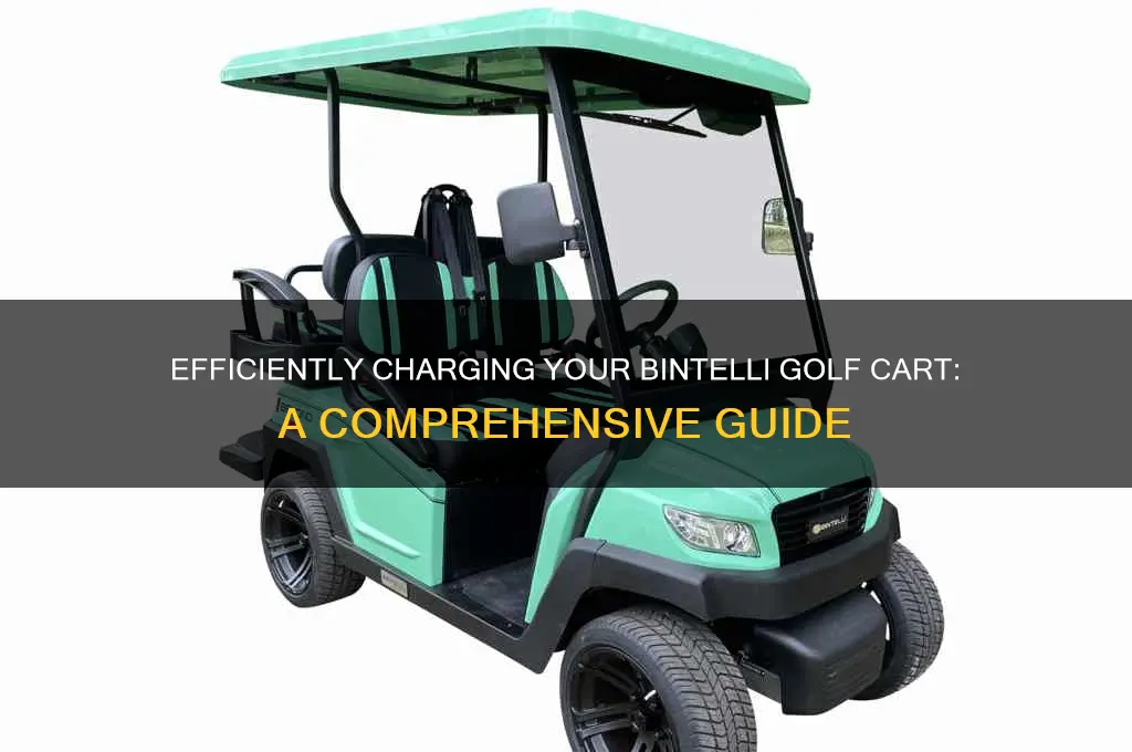 how to charge a bintelli golf cart