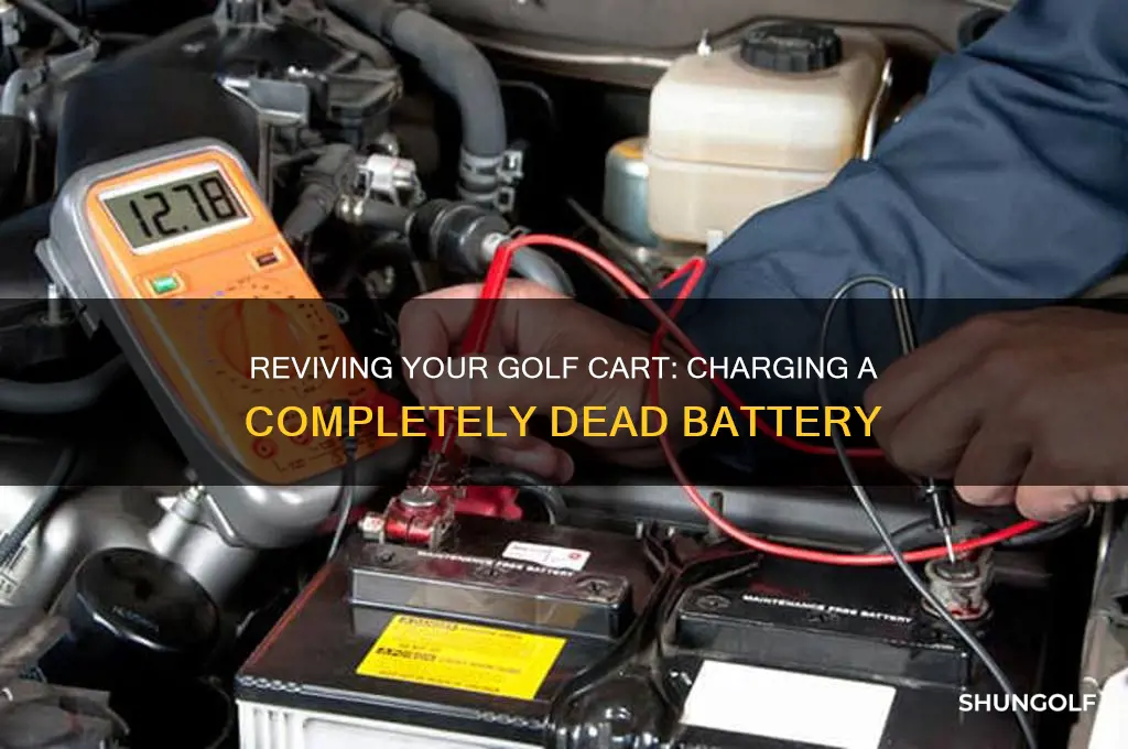 how to charge a completely dead golf cart battery
