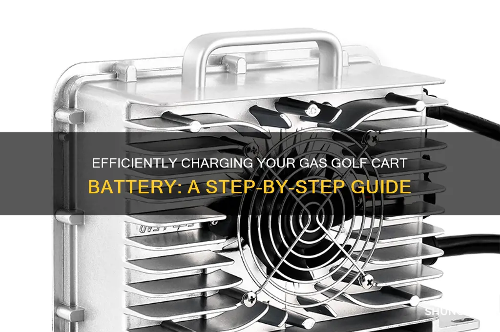 how to charge a gas golf cart battery