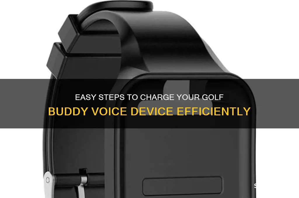 how to charge a golf buddy voice