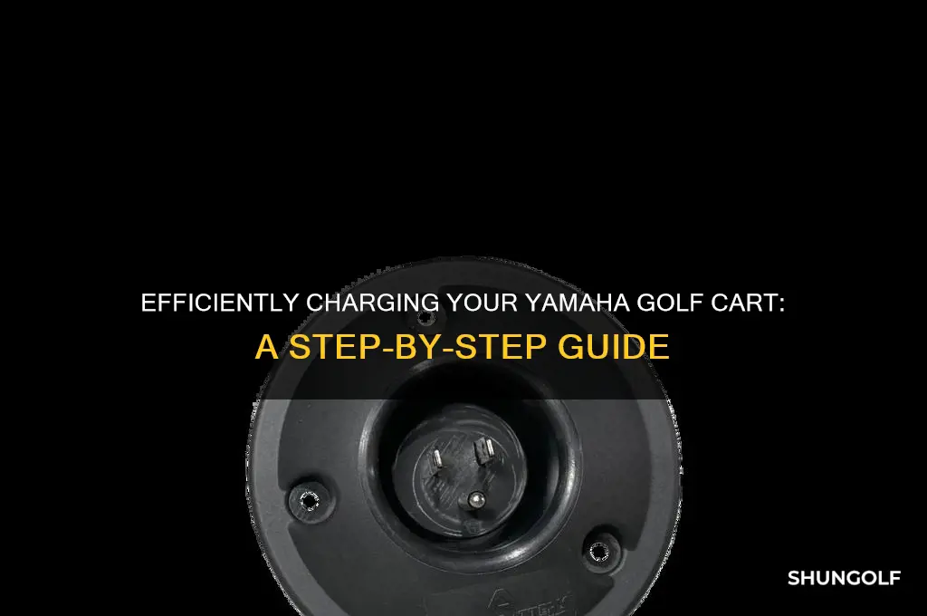 how to charge a yamaha golf cart