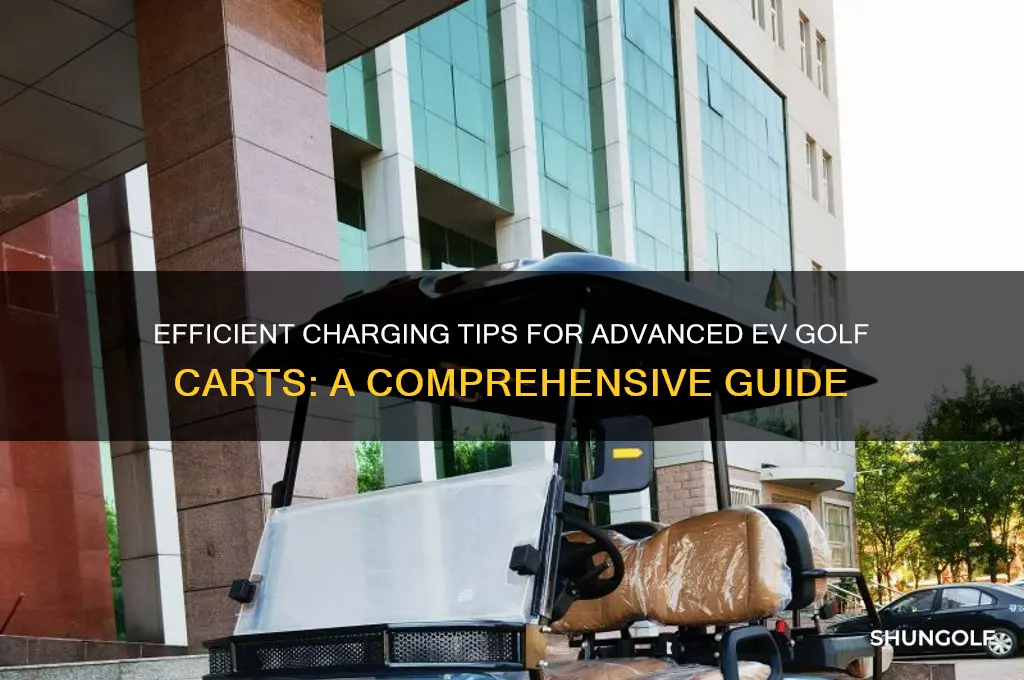how to charge advanced ev golf cart