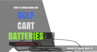 Revive Your 48V Golf Cart Batteries: A Complete Charging Guide