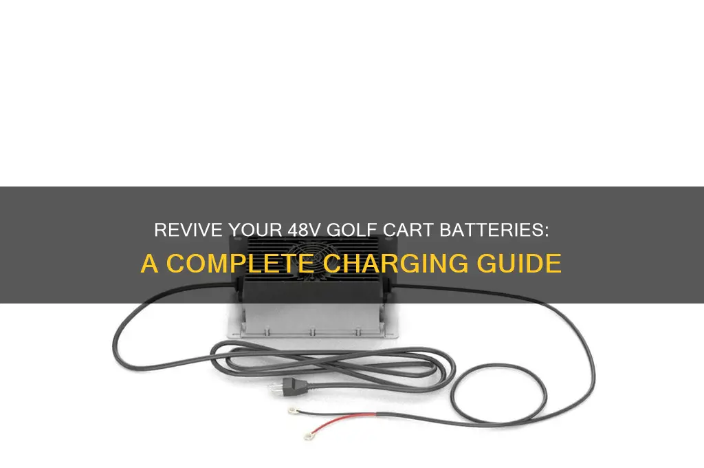 how to charge dead 48v golf cart batteries