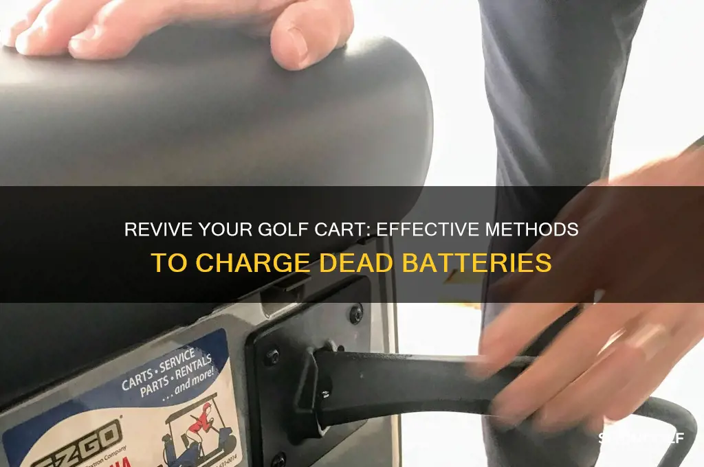 how to charge dead golf cart batteries