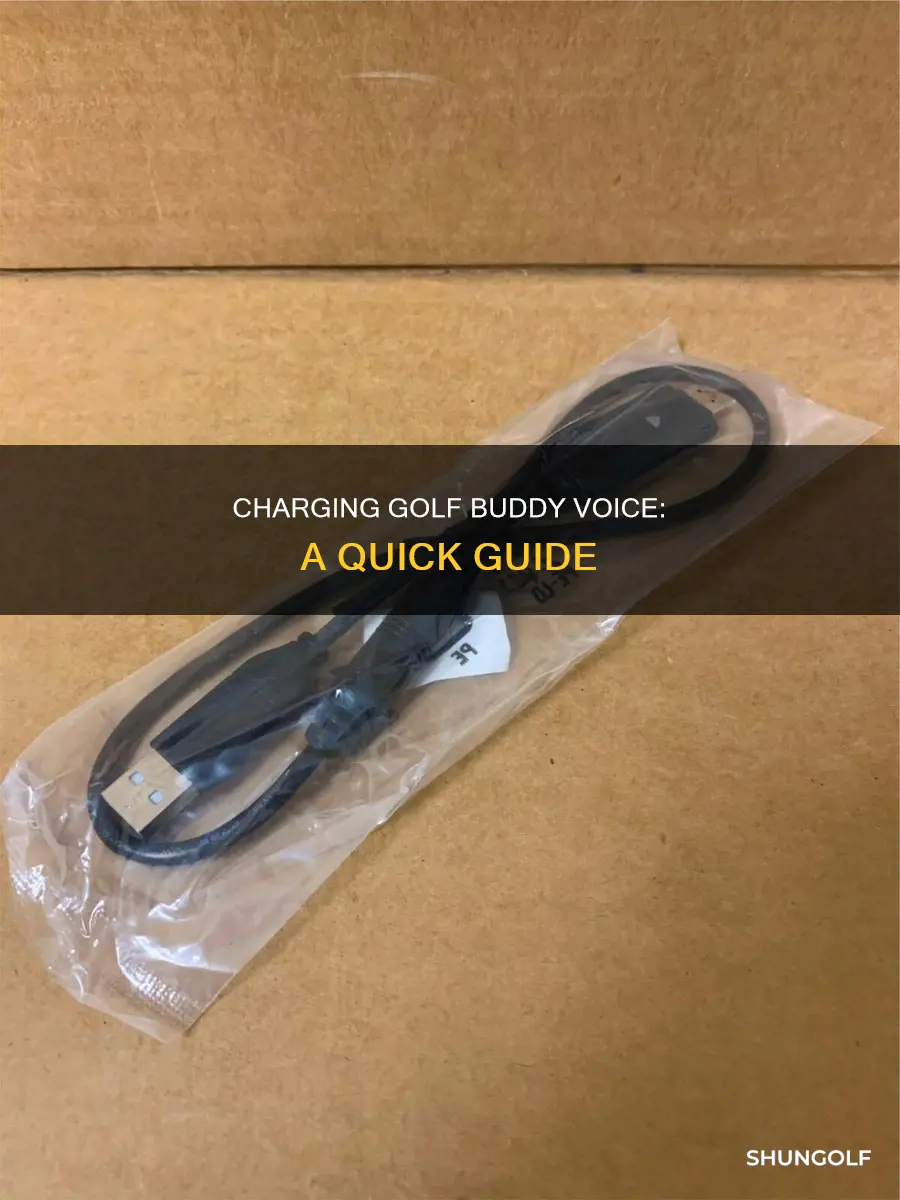 how to charge golf buddy voice