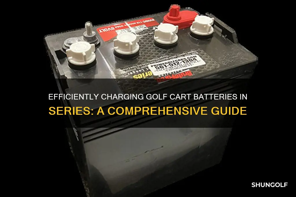 how to charge golf cart batteries in series