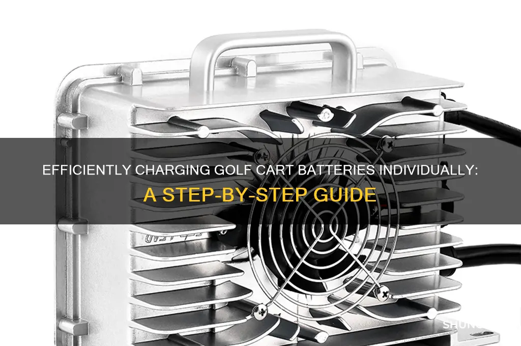 how to charge golf cart batteries individually