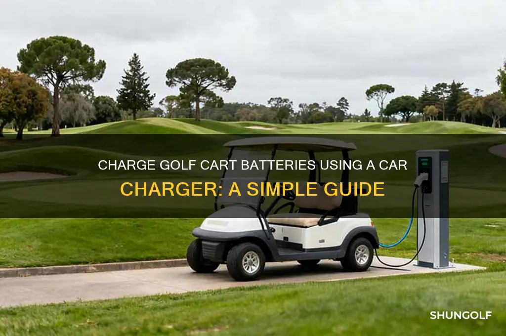 how to charge golf cart batteries with a car charger