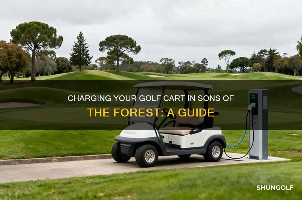 how to charge golf cart sons of the forest