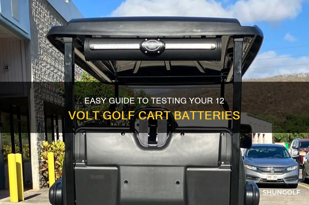 how to check 12 volt golf cart batteries