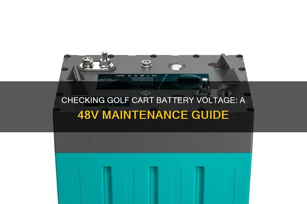 how to check 48 battery voltage on golf cart batteries