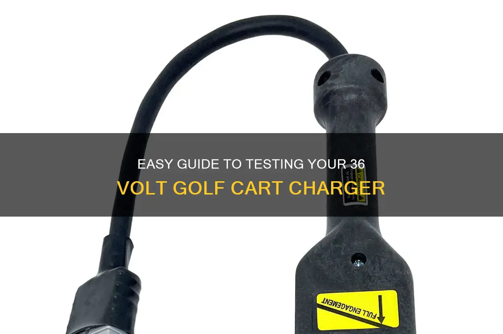 how to check a 36 volt golf cart charger