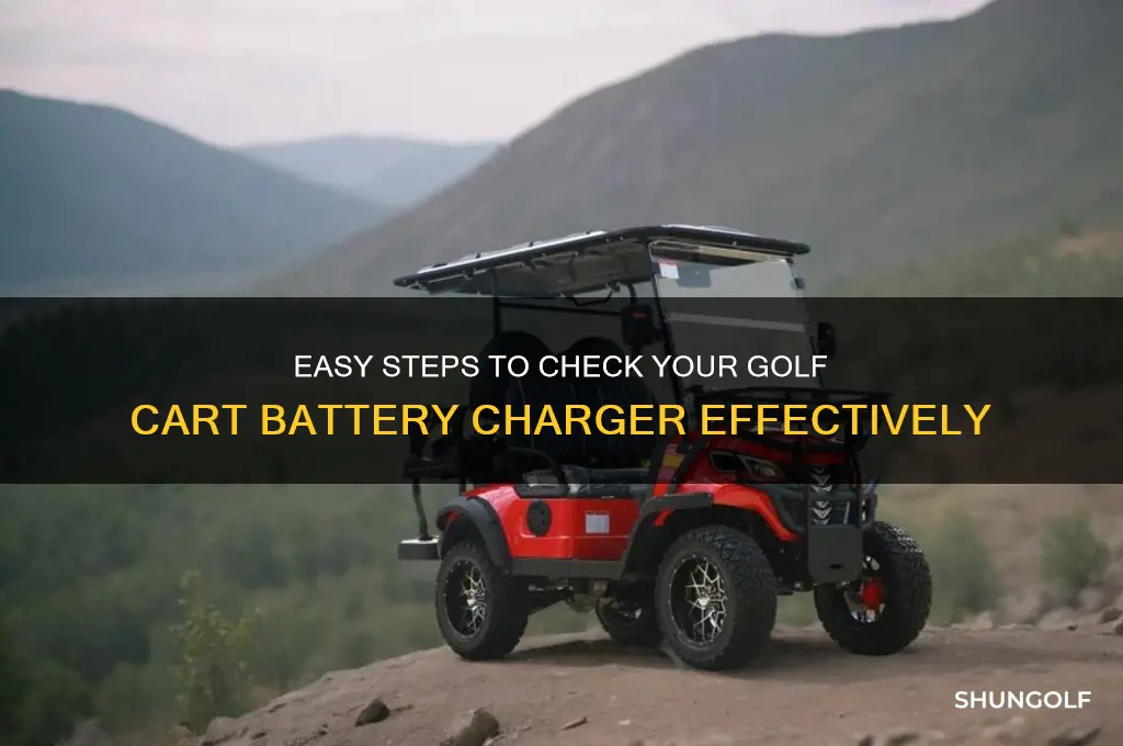 how to check a golf cart battery charger