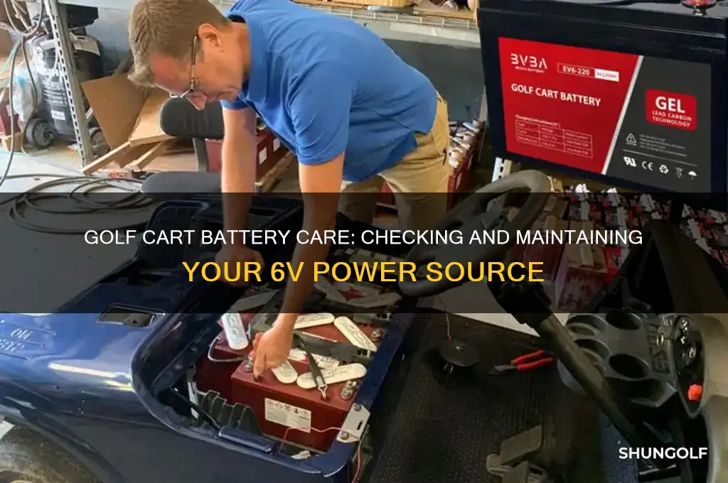 how to check and maintain a 6v golf cart battery