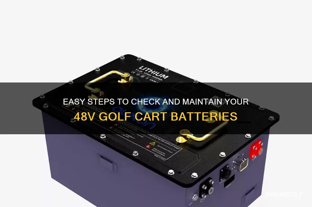 how to check batteries on a 48 v golf card