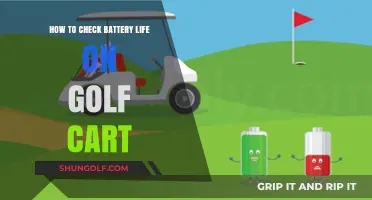 Easy Steps to Check Your Golf Cart's Battery Life