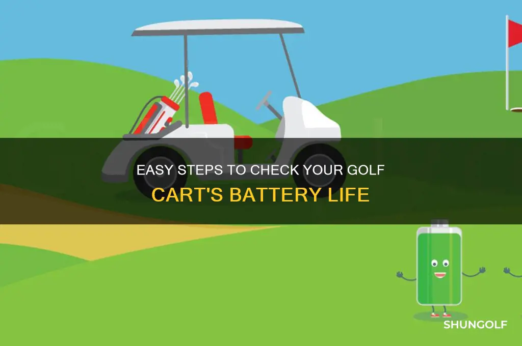 how to check battery life on golf cart