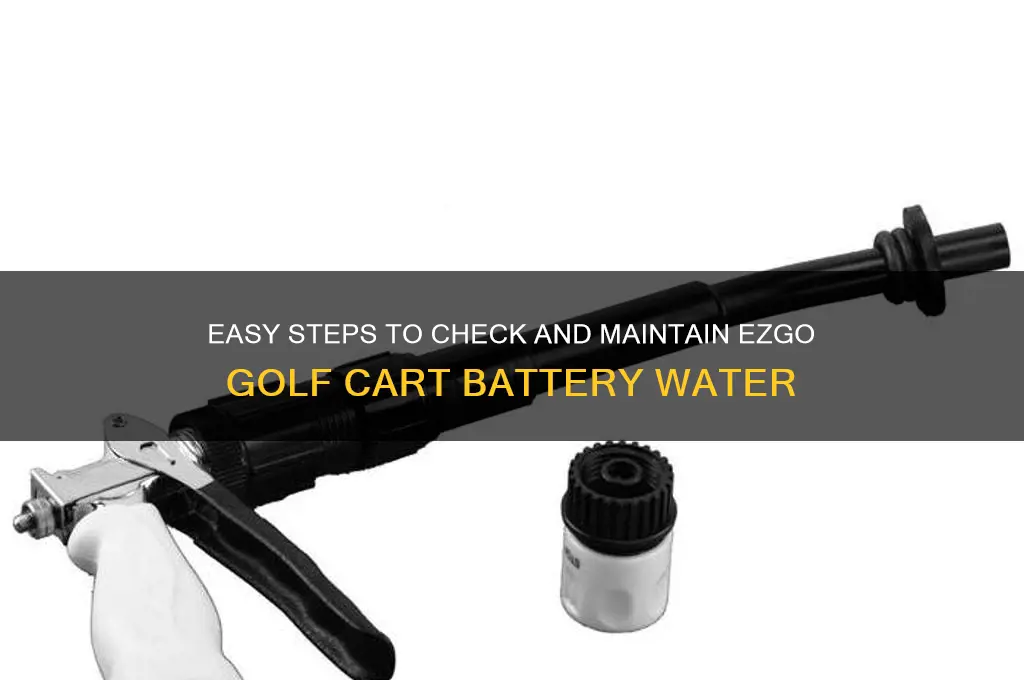 how to check battery water on ezgo golf car
