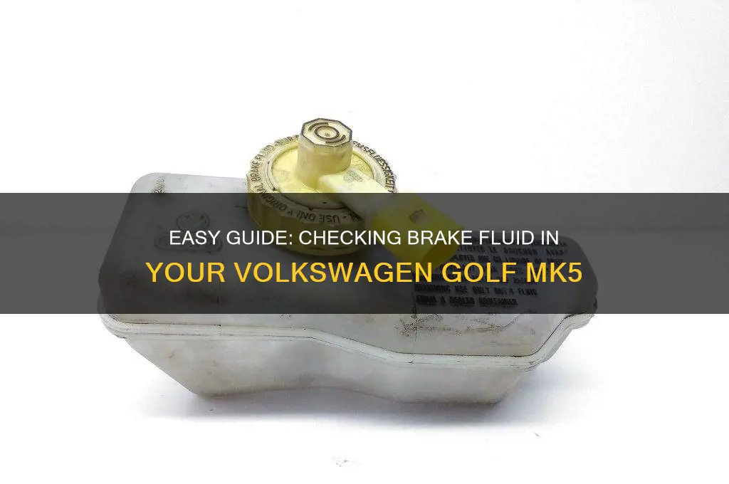 how to check brake fluid golf mk5