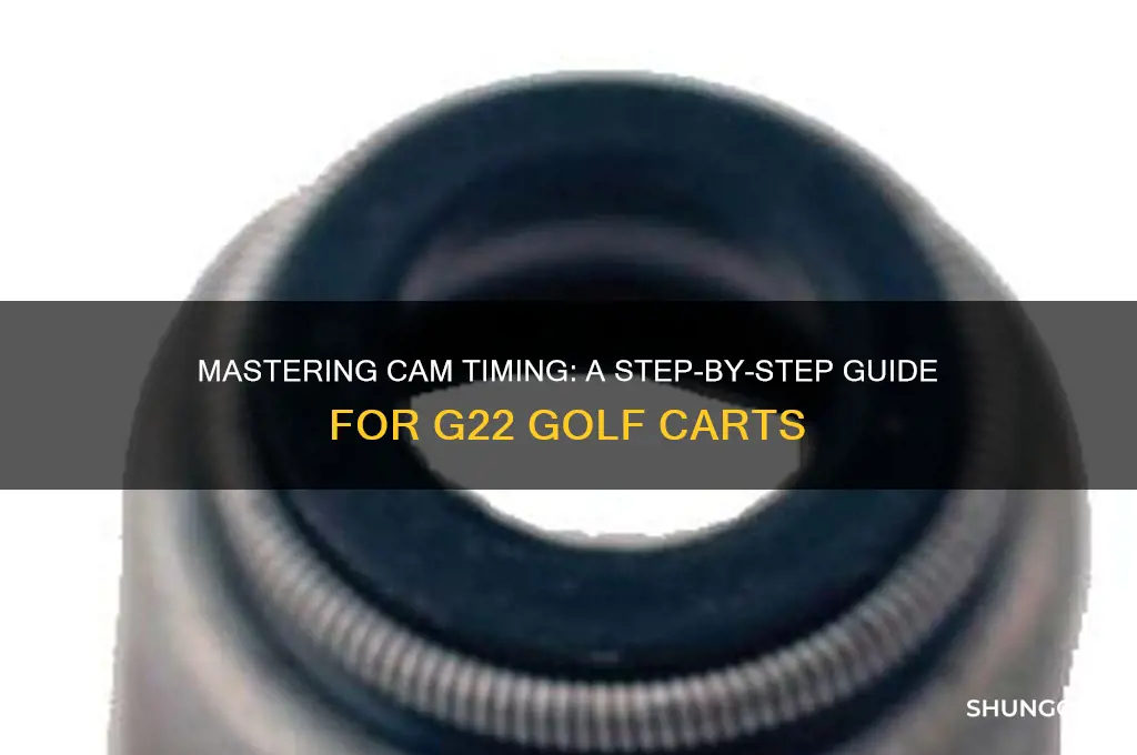 how to check cam timing on a g22 golf cart