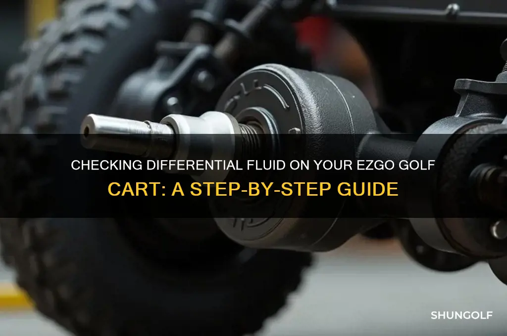 how to check differential fluid on ezgo golf cart