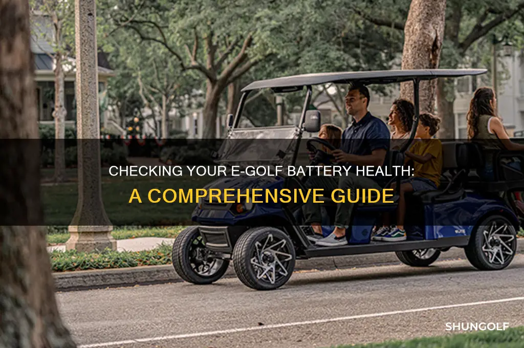 how to check e golf battery health