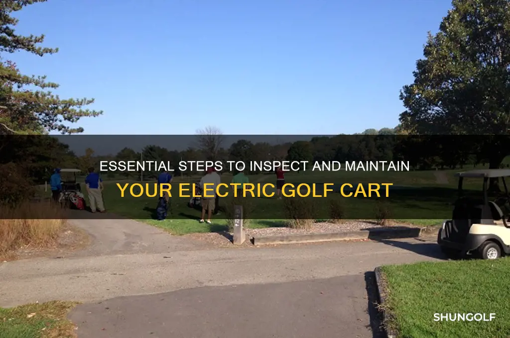 how to check electric golf cart