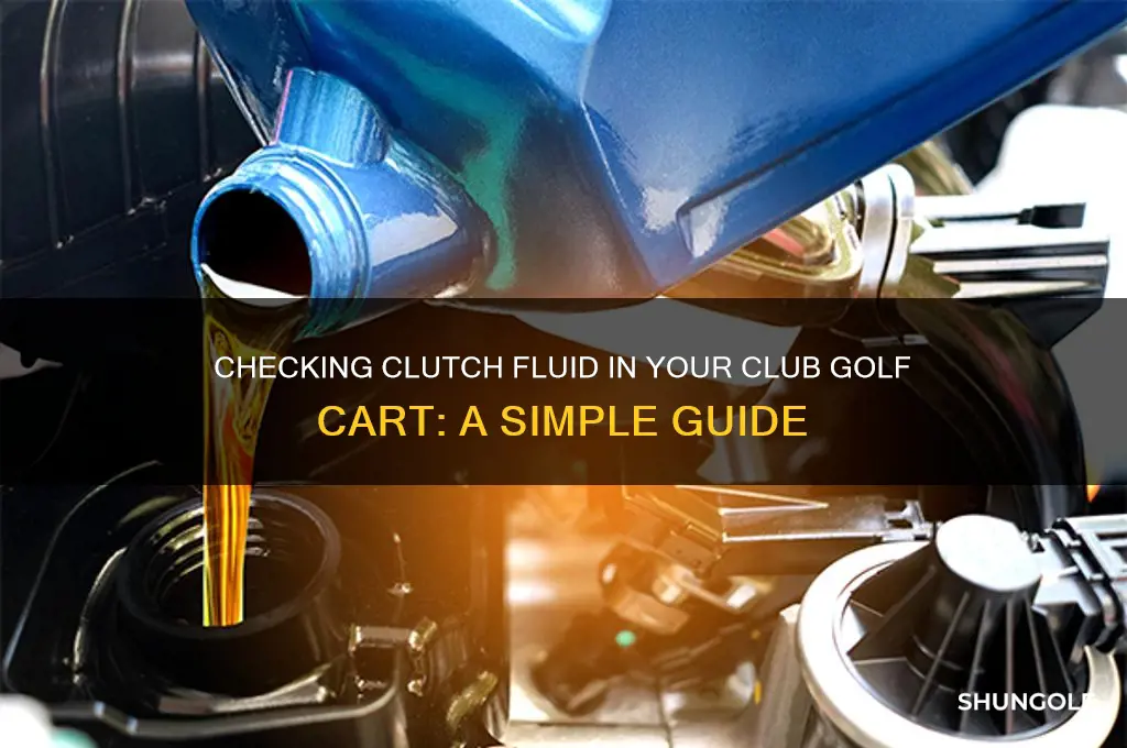 how to check fluid for clutch in club golf cart