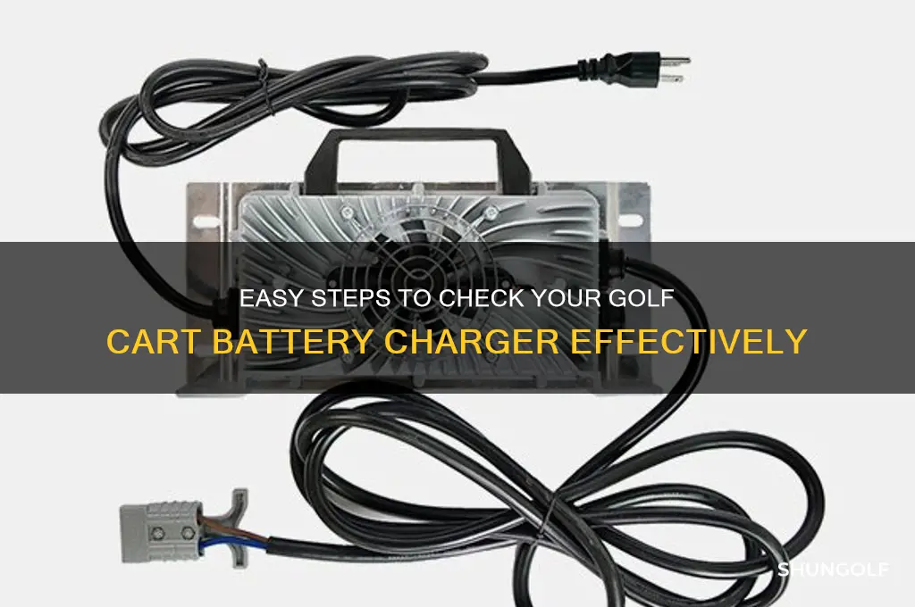 how to check golf cart battery charger