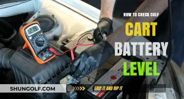 Easy Steps to Accurately Check Your Golf Cart Battery Level