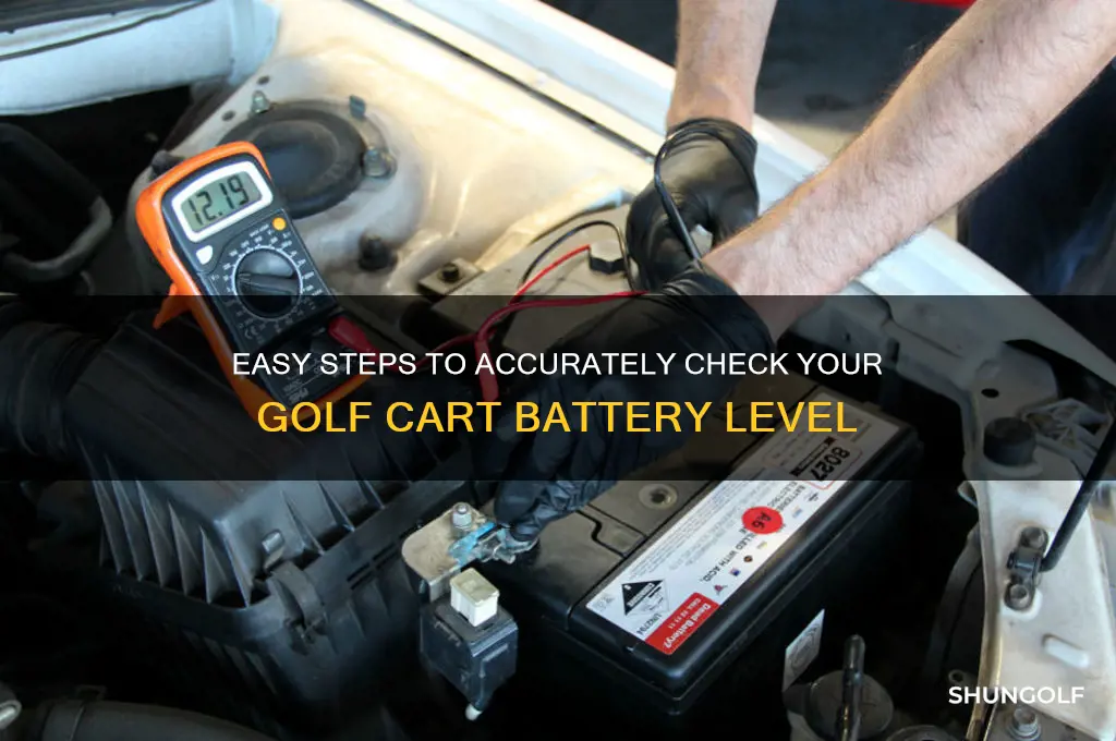 how to check golf cart battery level